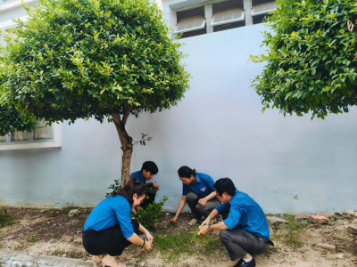 ĐOÀN VIÊN GIÁO VIÊN TRƯỜNG THCS TRẦN BÌNH TRỌNG TÍCH CỰC LÀM VỆ SINH KHUÔN VIÊN TRƯỜNG