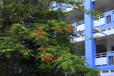 KHOẢNH KHẮC KỈ NIỆM HỌC SINH LỚP 9 NĂM HỌC 2020 - 2021