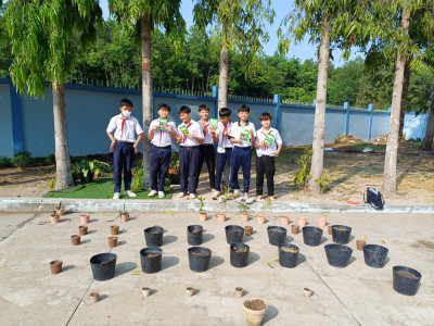 NGÀY HỘI TẾT TRỒNG CÂY