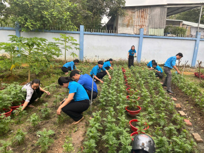 Trường THCS Trần Bình Trọng tiếp tục thực hiện mô hình "Trường học xanh".