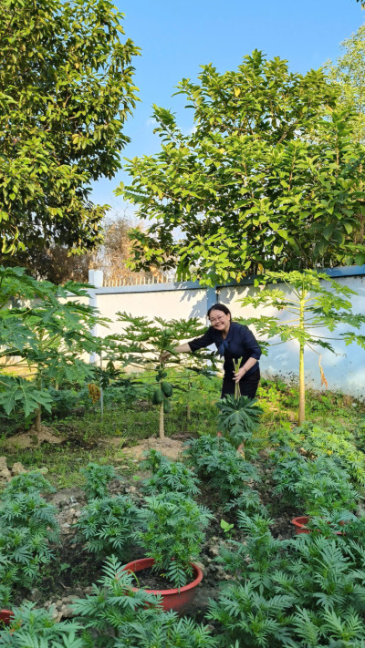 Trường THCS Trần Bình Trọng tiếp tục thực hiện Mô hình "Trường Học Xanh"